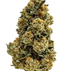 Orange Wedding Cake, portakal aroması ve 'a varan THC içeriğiyle öne çıkan indica dominant bir türdür. Eşsiz lezzet profilini keşfedin ve etkilerini görüntüleyin.