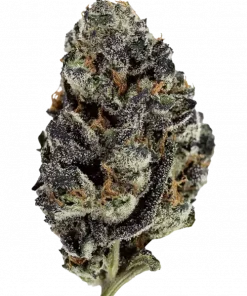 Oreo Blizzy, vanilya aroması ve yüksek THC içeriğiyle öne çıkan indica baskın bir türdür. Canlandırıcı etkileriyle bilinir. Genetik yapısını ve faydalarını keşfedin.