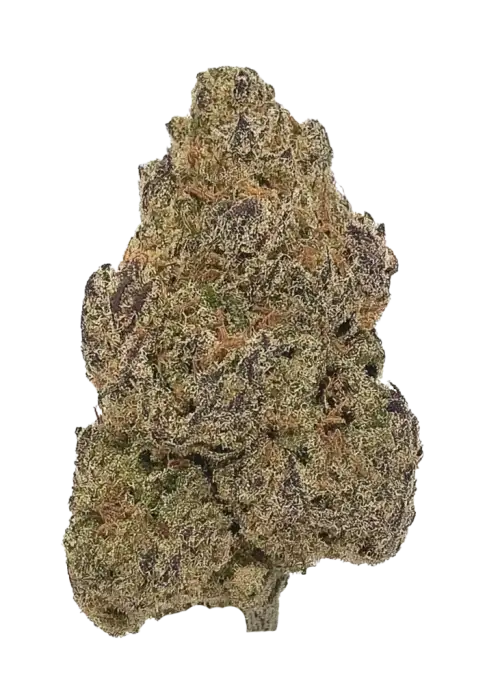 Oreo Cake, vanilya aroması ve rahatlatıcı etkisiyle bilinen Indica baskın bir türdür. Tatlı ve keyifli yapısıyla öne çıkar. Özelliklerini keşfedin.