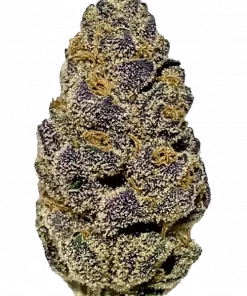 Oreo Runtz, kimyasal limon aroması ve vanilya notalarıyla öne çıkan dengeli bir hibrit türdür. Depresyon ve uykusuzluğa iyi geldiği bilinir. Özelliklerini keşfedin.