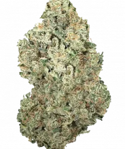 Original Afghan Kush Auto, keskin hash aroması ve güçlü indica etkisiyle bilinen bir türdür. Uykusuzluğa iyi gelen bu türün genetik yapısını keşfedin.