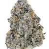 Original Big Bud Auto, tatlı aroması ve rahatlatıcı etkileriyle öne çıkan indica baskın bir türdür. Yüksek verimli ve kolay yetiştirilebilir yapısıyla keşfedin.