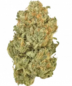 Original OG Kush Auto, yakıtımsı ve narenciye aromalarıyla öne çıkan indica dominant bir türdür. Rahatlatıcı etkileriyle bilinen bu türü keşfedin.