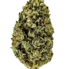 Overdose, yüksek THC'si ve rahatlatıcı etkisiyle bilinen Indica dominant bir türdür. Tatlı, baharatlı ve çam aromalarını keşfedin. Genetik yapısını görüntüleyin.