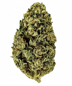 Overdose, yüksek THC'si ve rahatlatıcı etkisiyle bilinen Indica dominant bir türdür. Tatlı, baharatlı ve çam aromalarını keşfedin. Genetik yapısını görüntüleyin.