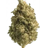 OZ Kush x Pineapple 41, yakıtımsı ve meyvemsi aromalarıyla öne çıkan Indica dominant bir türdür. Yüksek THC içeriğiyle derin rahatlama sağlar. Özelliklerini keşfedin.