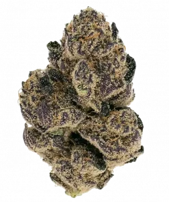 PAAU, yüksek THC içeriği ve belirgin meyvemsi aromasıyla bilinen Indica dominant bir türdür. Derin rahatlama ve uyku için ideal. Genetik yapısını keşfedin.