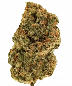 Pai Gow, greyfurt aromalı ve yüksek THC'li dengeli bir hibrit türdür. Uykusuzluk ve ağrı için ideal. Bu eşsiz türün genetik yapısını keşfedin.