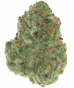 Pamir Gold, armut aroması ve rahatlatıcı etkisiyle bilinen indica dominant bir türdür. Himalayalardan gelen genetik yapısını keşfedin ve özelliklerini görüntüleyin.