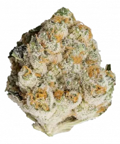 Pancakes, tatlı ve meyvemsi aromalarıyla öne çıkan Indica baskın bir türdür. Benzersiz genetik yapısını ve potansiyel faydalarını keşfedin.