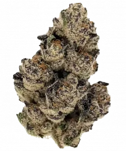 Pancakes x Zushi, tatlı krema aroması ve rahatlatıcı etkileriyle bilinen Indica dominant bir türdür. Yüksek THC içeriğiyle keyifli bir deneyim için hemen keşfedin.