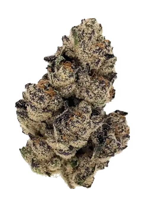 Pancakes x Zushi, tatlı krema aroması ve rahatlatıcı etkileriyle bilinen Indica dominant bir türdür. Yüksek THC içeriğiyle keyifli bir deneyim için hemen keşfedin.