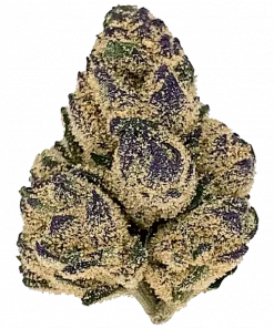 Papa Don, keskin nane aroması ve yüksek THC içeriğiyle bilinen Sativa baskın bir türdür. Yaratıcılığı tetikleyen bu özel türü keşfedin.