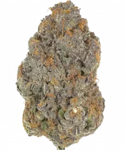 Papaya Bomb, tropikal meyve aromaları ve yüksek THC içeriğiyle bilinen Indica dominant bir türdür. Yoğun lezzet profilini ve potansiyel faydalarını keşfedin.