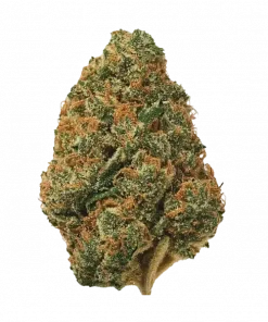 Papaya Cake, tatlı kek ve tropikal meyve aromalarıyla öne çıkan Indica baskın bir türdür. Yüksek THC içeriğiyle rahatlatıcı etkilerini keşfedin ve hemen görüntüleyin.