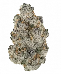 Papaya Candy, tatlı tropikal aroması ve dengeli etkisiyle bilinen indica dominant bir türdür. Yüksek THC içeriğiyle öne çıkar. Özelliklerini keşfedin.