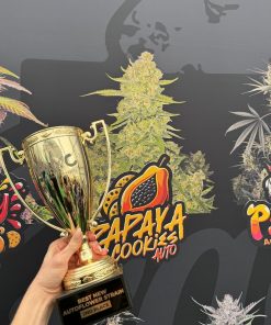 Papaya Cookies ™ Auto Fem Esrar Tohumu (Fast Buds)