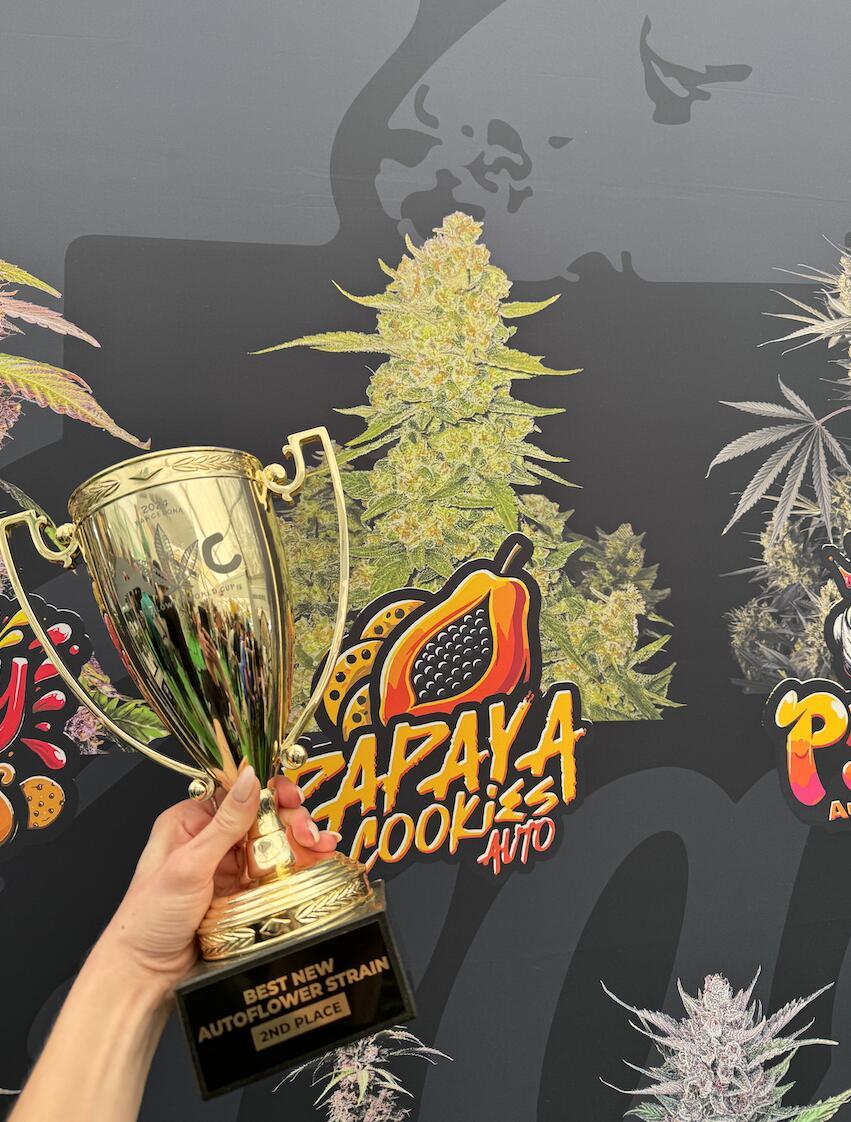 Papaya Cookies ™ Auto Fem Esrar Tohumu (Fast Buds)