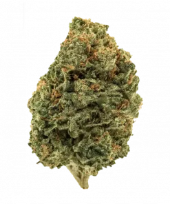 Papaya Frosting, mango ve yaban mersini aromalı, yüksek THC'li Indica dominant bir türdür. Yaratıcılığı tetikleyen ve rahatlatan etkilerini keşfedin. Hemen inceleyin.