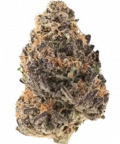 Papayafiya, papaya aroması ve rahatlatıcı etkisiyle bilinen Indica baskın bir türdür. Yaratıcılığı tetikler. Genetik yapısını ve faydalarını keşfedin.