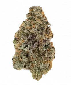 Papayton, yakıtımsı ve tatlı aromaları ile öne çıkan dengeli bir hybrid türüdür. THC içeriğiyle ciğere vuran bu türün genetik yapısını keşfedin.