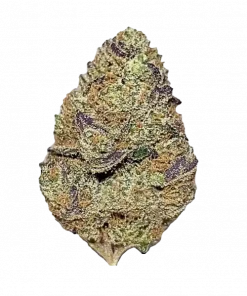 Paris OG, yakıtımsı ve limon aromalarıyla öne çıkan Indica dominant bir türdür. Derin rahatlama ve öfori sunar. Genetik yapısını keşfedin ve etkilerini görüntüleyin.