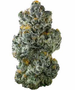 Park Avenue Pavé, yakıtımsı aroması ve yüksek THC içeriğiyle bilinen dengeli bir hibrit türdür. Ağrı ve stresi azaltmaya yardımcı olabilir. Hemen keşfedin.