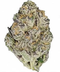 Pavé (Pav), kremsi aroması ve rahatlatıcı etkileriyle öne çıkan dengeli bir hibrit türdür. Paris OG ve The Menthol genetiğini keşfedin ve özelliklerini görüntüleyin.