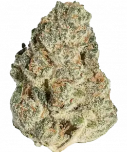 Peach Crescendo F-1, tatlı şeftali aroması ve THC içeriğiyle öne çıkan indica baskın bir türdür. Sakinleştirici etkilerini keşfetmek için hemen görüntüleyin.