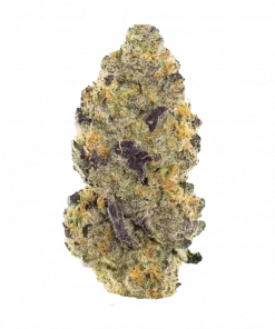 Peach Panther, şeftali aromaları ve dengeli etkisiyle bilinen Indica dominant bir türdür. Yaratıcılığı artırır ve rahatlama sağlar. Özelliklerini keşfedin.