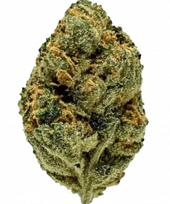 Peach Rings, tatlı şeftali ve yakıtımsı notalarıyla öne çıkan Indica baskın bir türdür. Yüksek THC içeriğiyle rahatlatıcı etkisini keşfedin ve genetik yapısını inceleyin.