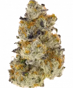 Peach Shake, şeftali ve kavun aromalı, yüksek THC'li bir hibrit türdür. Yaratıcılığı teşvik eden ve rahatlama sağlayan bu türü keşfedin.