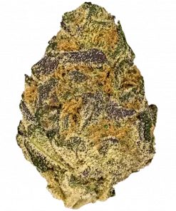 Şeftali ve Krema, tatlı aroması ve enerji veren etkisiyle bilinen Sativa baskın bir türdür. Grape Kush genetiğiyle öne çıkar. Özelliklerini keşfedin.