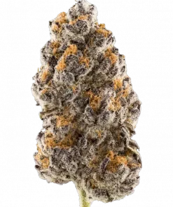 Peanut Butter Bomb, tatlı ve fındık aromalarıyla öne çıkan Indica baskın bir türdür. Yüksek THC içeriğiyle uykusuzluğa iyi gelir. Etkilerini keşfedin.