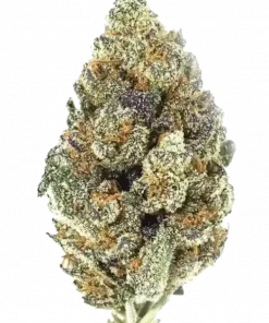 Peanut Butter Breath, fıstık ezmesi aroması ve rahatlatıcı etkileriyle bilinen dengeli bir hibrit türdür. Ağrı ve stresi azaltmak için ideal. Özelliklerini keşfedin.