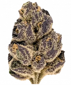 Peanut Butter Cop, yakıtımsı notaları ve rahatlatıcı etkisiyle bilinen Indica baskın bir türdür. Orta seviyedeki THC içeriğiyle ideal. Özelliklerini keşfedin.