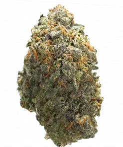 Peanut Butter Scotti, fıstık ezmesi aroması ve yüksek THC içeriğiyle bilinen indica baskın bir türdür. Derin rahatlama ve öfori için hemen keşfedin.