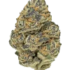 Permanent Gas, yakıtımsı aroması ve 'e varan THC içeriğiyle öne çıkan Indica dominant bir türdür. Yoğun etkilerini ve genetik yapısını keşfedin.