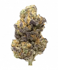 Permanent Push Pop, üzüm ve vanilya aromalarıyla öne çıkan, yüksek THC'li bir Indica baskın türdür. Kaliteli genetiği keşfedin ve rahatlatıcı etkilerini görüntüleyin.