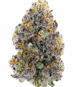 Perzimmon, tatlı meyve aromaları ve rahatlatıcı etkisiyle bilinen Indica baskın bir türdür. Yüksek THC içeriğiyle dikkat çeken bu özel türü keşfedin.