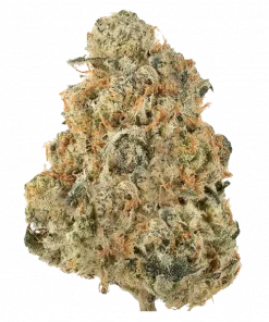 PetroChem, sert dizel aroması ve yüksek reçine üretimiyle bilinen dengeli bir hibrit türüdür. GG4 genetiğiyle gelen bu türün özelliklerini keşfedin.