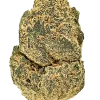Phantom Cookies, tatlı böğürtlen aroması ve THC oranıyla öne çıkan Sativa baskın bir türdür. Yaratıcılığı artıran bu türün genetik yapısını keşfedin.