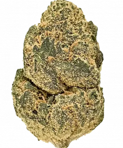 Phantom Cookies, tatlı böğürtlen aroması ve THC oranıyla öne çıkan Sativa baskın bir türdür. Yaratıcılığı artıran bu türün genetik yapısını keşfedin.