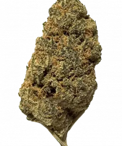 Phoenix Lights, narenciye aromaları ve dengeli etkisiyle öne çıkan Sativa baskın bir türdür. Spazm ve uykusuzluğa iyi gelir. Genetik yapısını keşfedin.