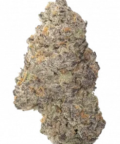 Pi'Nana Z, tatlı muz aroması ve enerji veren etkileriyle öne çıkan indica baskın bir türdür. Zihinsel berraklık sunan bu özel türü keşfedin.