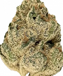 Piescream, yakıtımsı aroması ve yüksek THC içeriğiyle bilinen Indica dominant bir türdür. Öforik etkileri ve potansiyel faydalarını keşfedin.