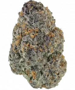 Pika Blu Chew, tatlı meyve aromaları ve rahatlatıcı etkisiyle öne çıkan Indica baskın bir türdür. Stres ve kaygı için ideal. Genetik yapısını keşfedin.