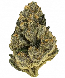 Pillows R1, toprak ve narenciye aromalı, yüksek THC'li Indica dominant bir türdür. Derin rahatlama ve uyku için ideal. Genetik yapısını keşfedin.