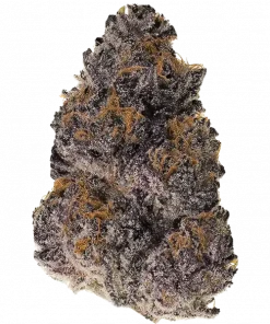 Pimp Zlap, meyveli şeker aroması ve rahatlatıcı etkileriyle öne çıkan dengeli bir hibrit türdür. Stresi azaltmaya yardımcı bu özel türü keşfedin.