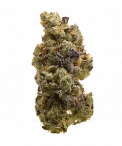 Pina Grande, tropikal aromaları ve 'lük THC oranıyla bilinen Sativa baskın bir türdür. Enerjik etkileriyle öne çıkar. Bu eşsiz türü keşfedin.